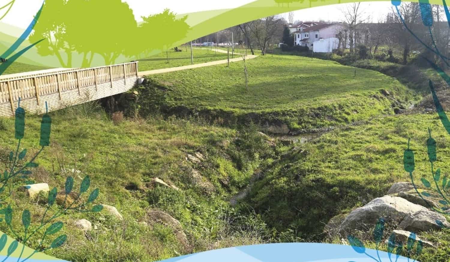 Margens do Rio Ferreira vão acolher ação de plantação de árvores e arbustos ribeirinhos em Freamunde