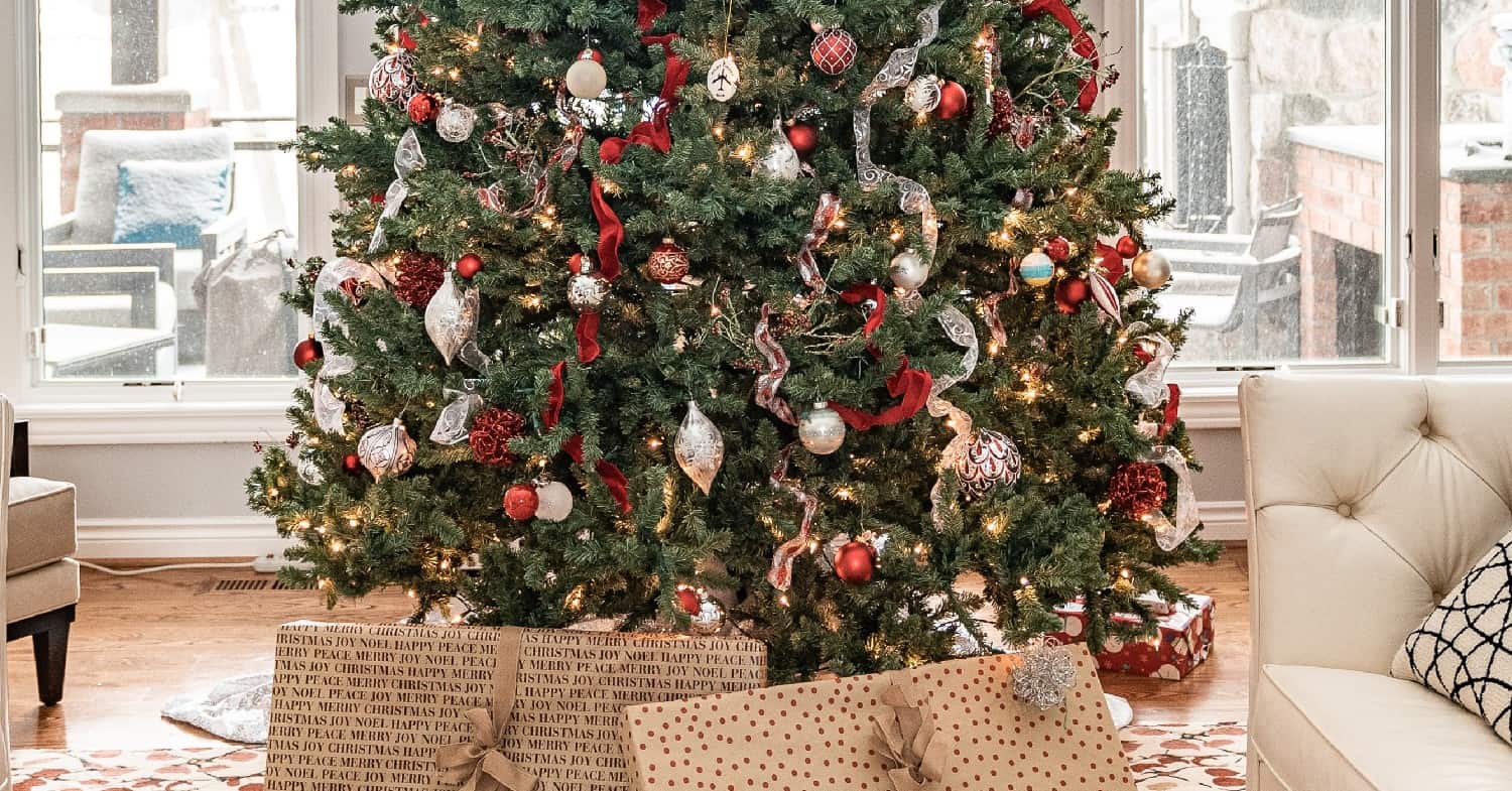 Município de Paredes promove campanha de recolha de árvores de Natal naturais