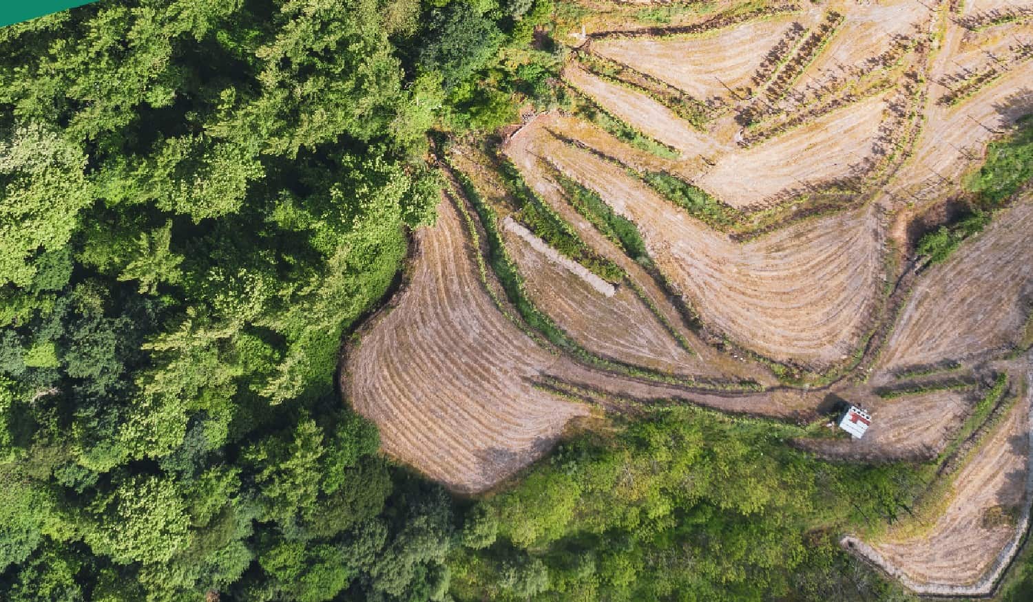 Balcão Único do Prédio de Amarante com novo horário de funcionamento