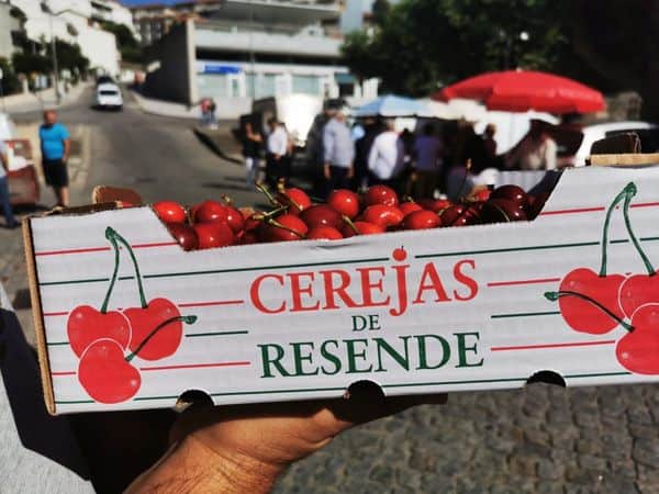 Festival da Cereja regressa este fim de semana a Resende