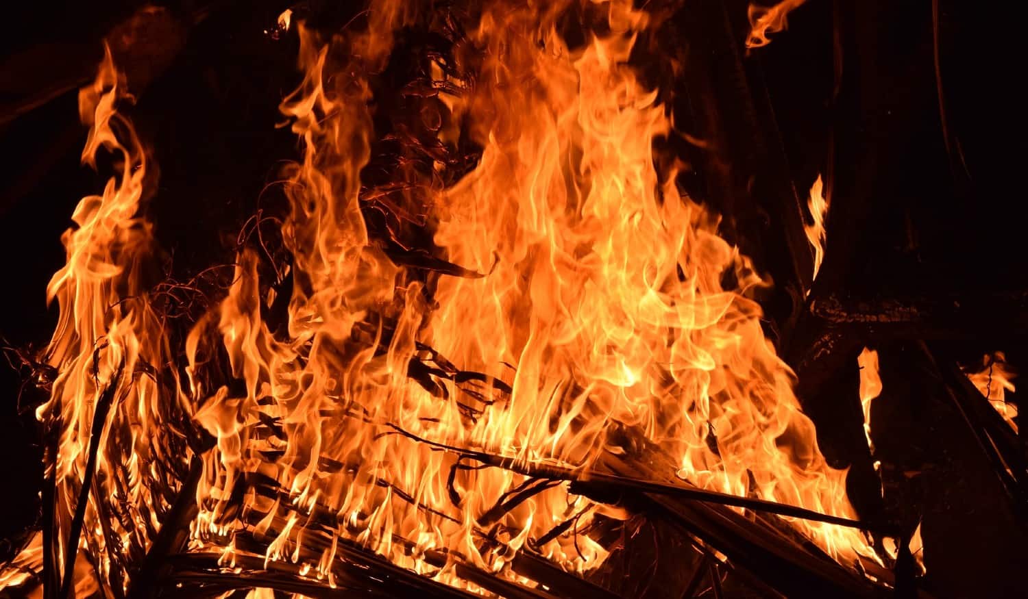 Penafiel vai receber apresentação da Comissão Sub-regional de Gestão Integrada de Fogos Rurais do Tâmega e Sousa
