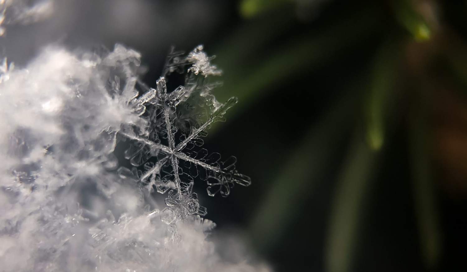 Fim de semana de frio na região do Tâmega e Sousa