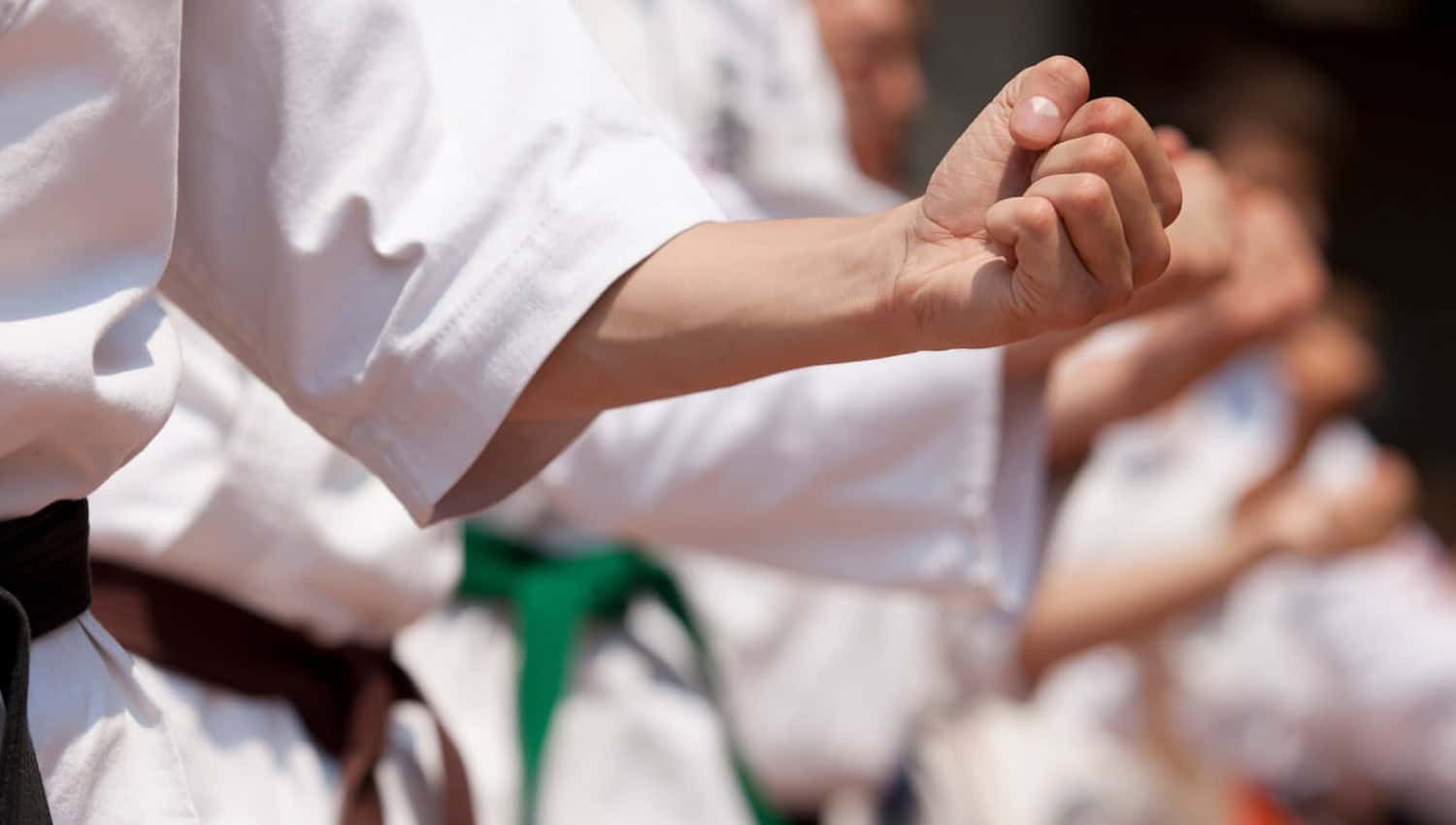 Pavilhão da Escola Secundária de Marco de Canaveses acolhe workshop "Circuito de Karate"