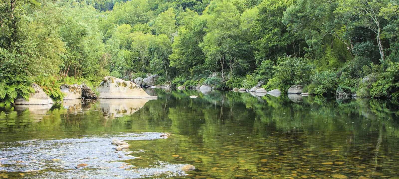 Cinfães: Terceira edição do Trail do Rio Paiva acontece este mês