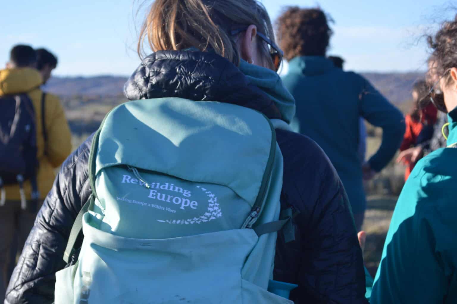 Rewilding Portugal organiza curso de guias de natureza dedicado ao lobo ibérico