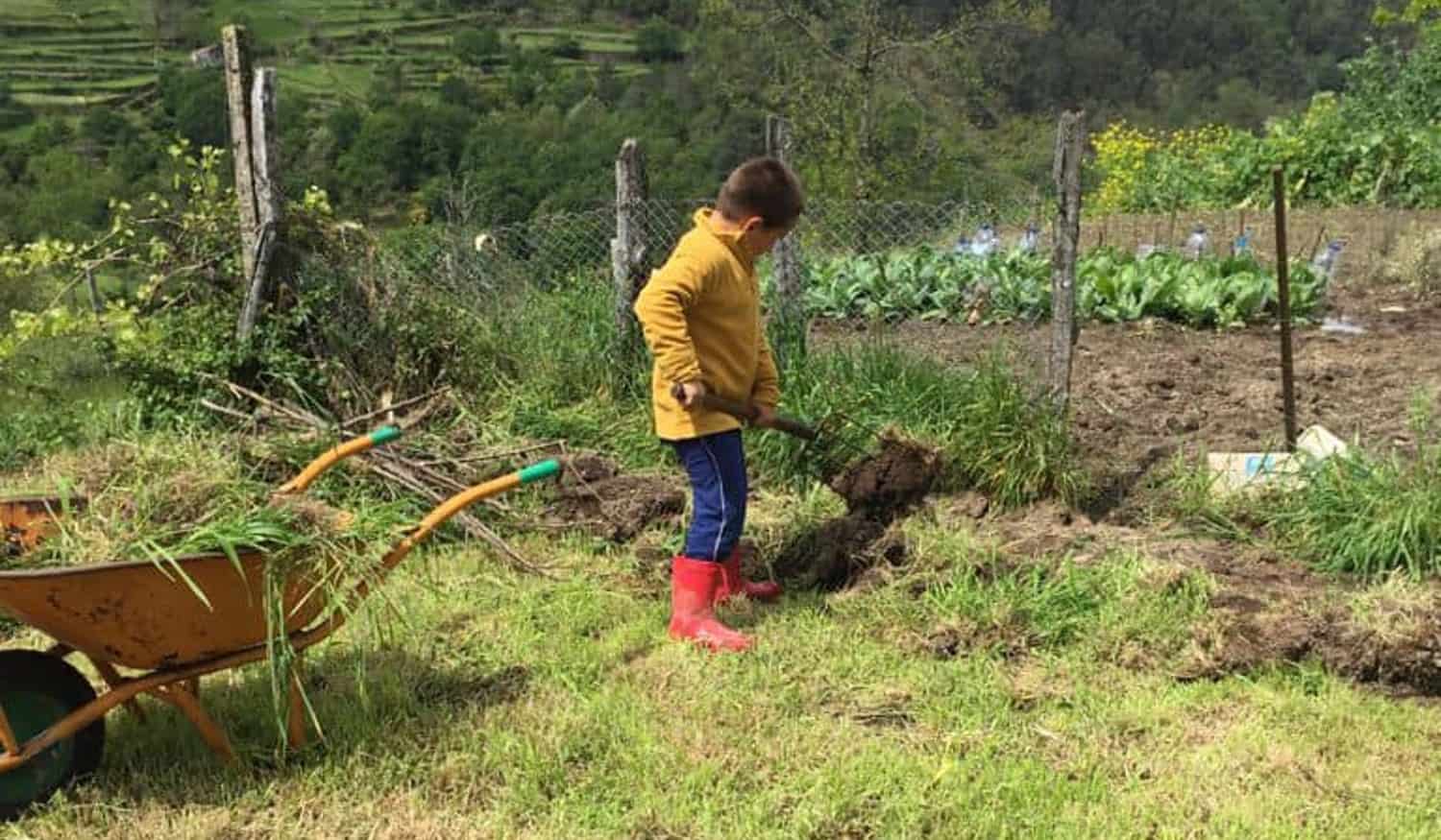 Cinfães: "Tem todos os ingredientes para criar um filho e ser feliz"