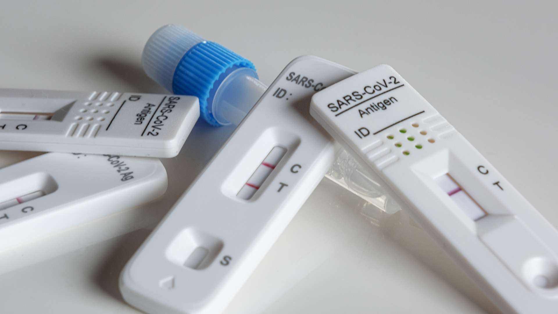 Testes rápidos de antigénio com validade de 24 horas