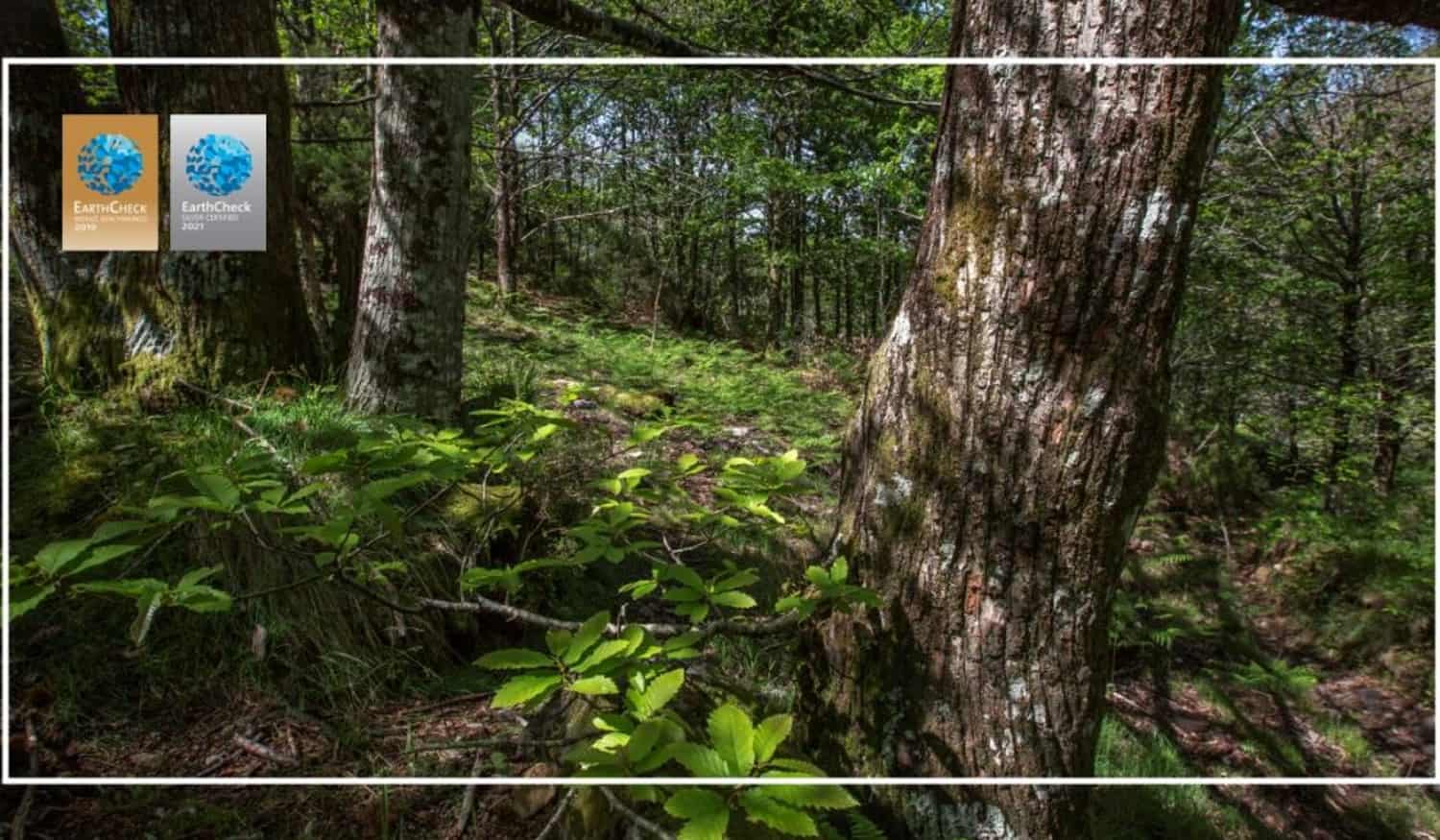 Baião certificado como "Destino Turístico Sustentável"