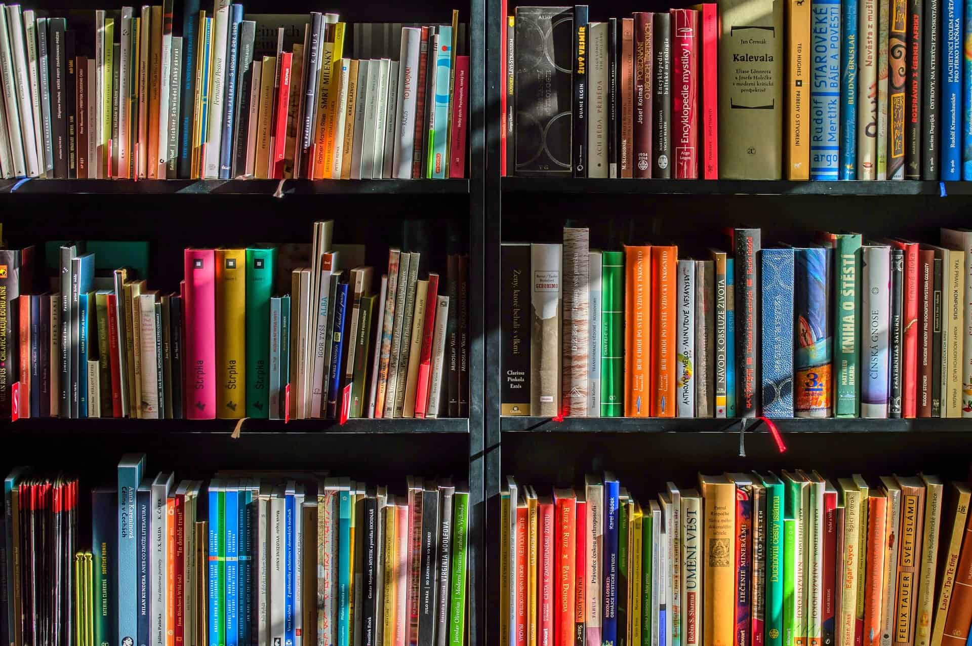 Celorico de Basto recebe a fase Municipal do Concurso Nacional de Leitura