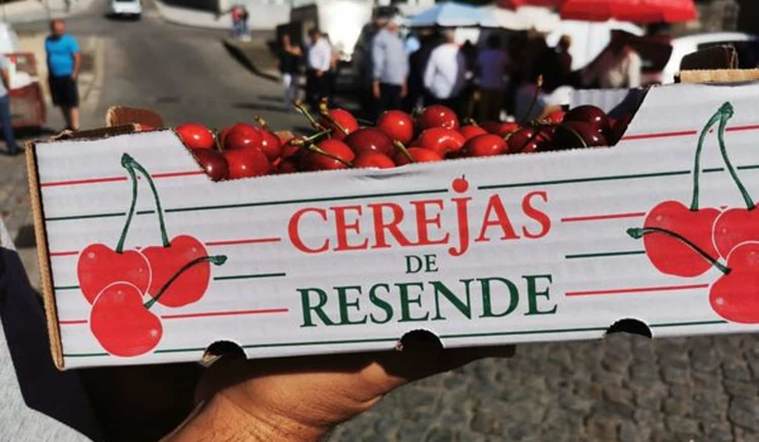 Produção da Cereja de Resende "com fatores positivos" após envolvimento da área científica