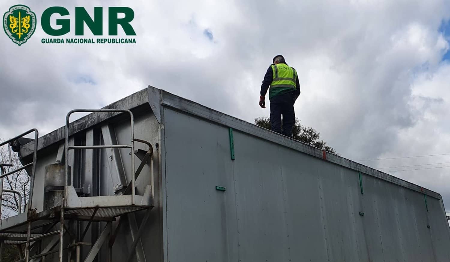 Detetadas 18 infrações no distrito do Porto numa operação de fiscalização de subprodutos de origem animal