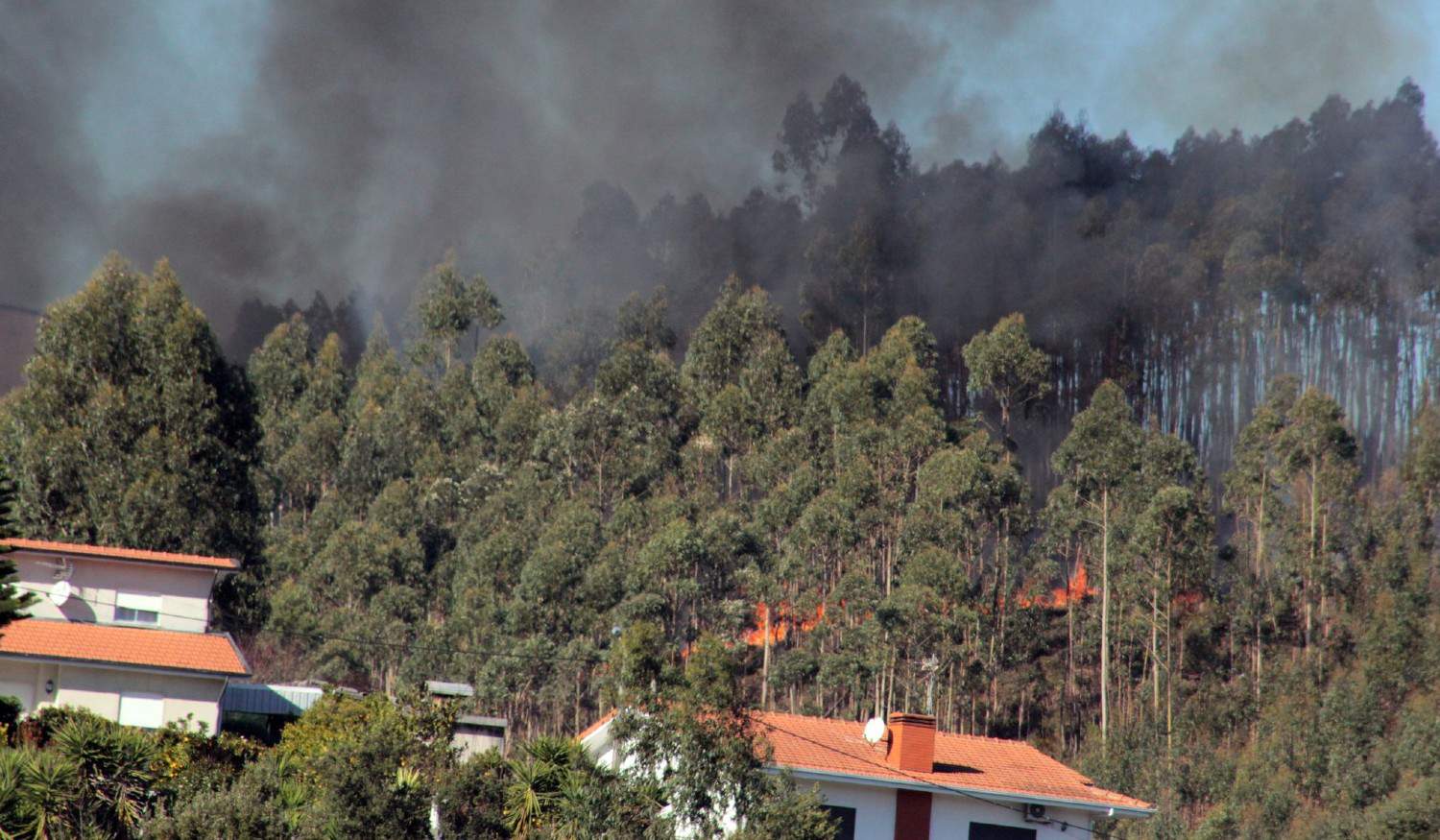 Paredes: Incêndio florestal lavra com intensidade perto de indústrias e habitações