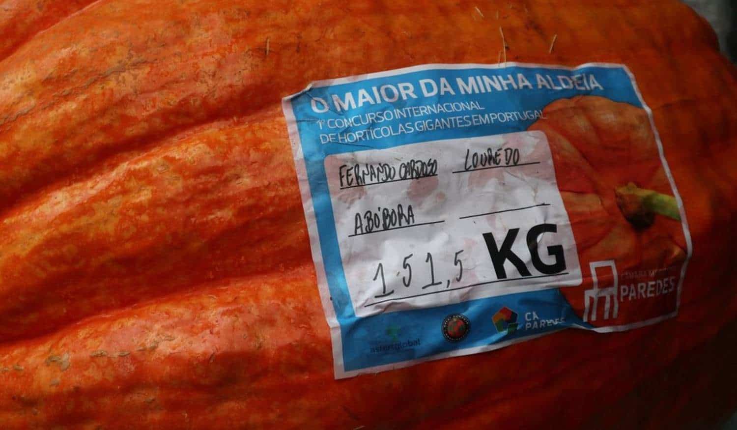 Estão abertas as inscrições para o concurso e feira de hortícolas gigantes de Paredes