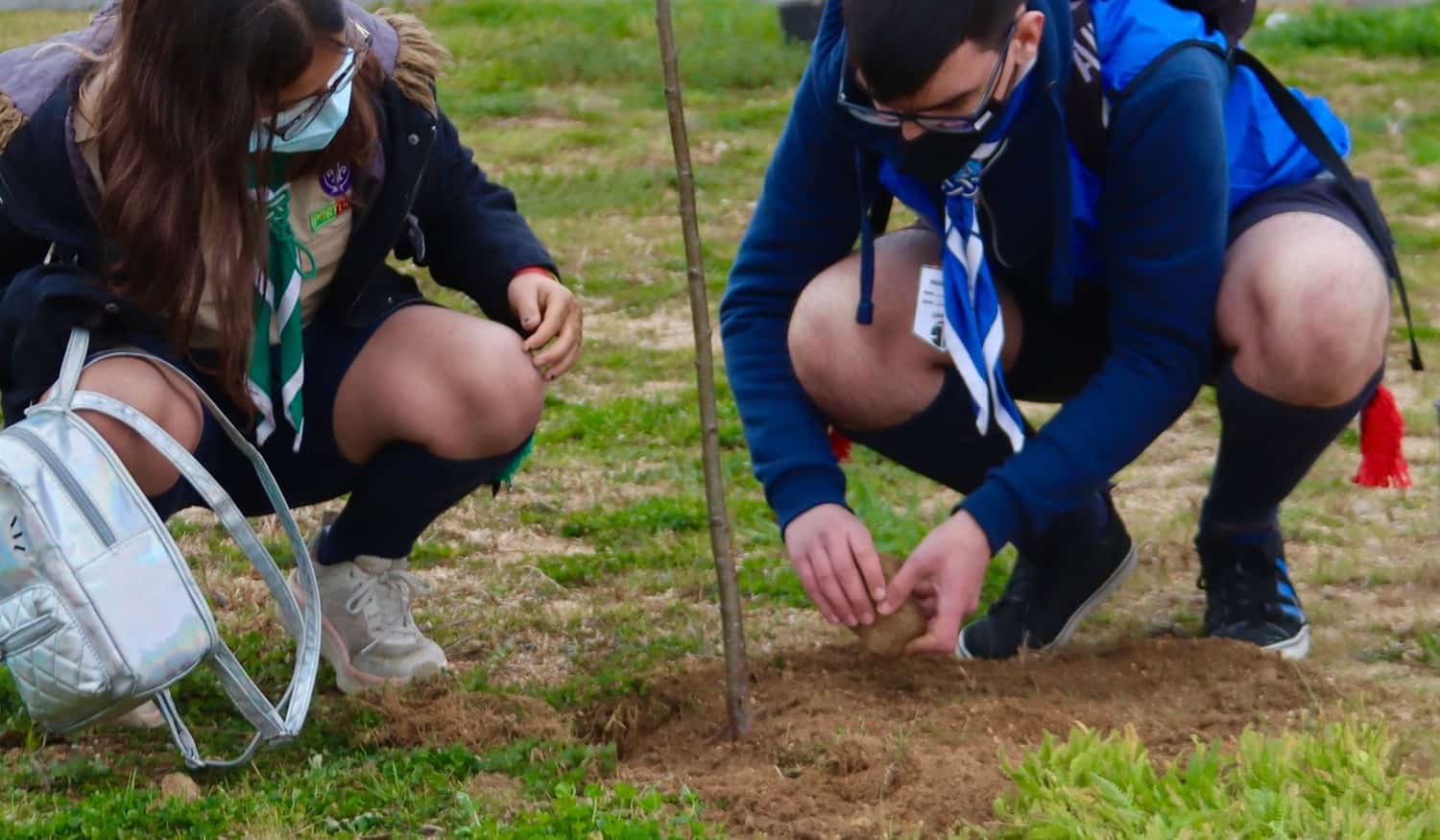 Paredes: Escuteiros plantam 10 árvores na Praça do Calvário em Gandra