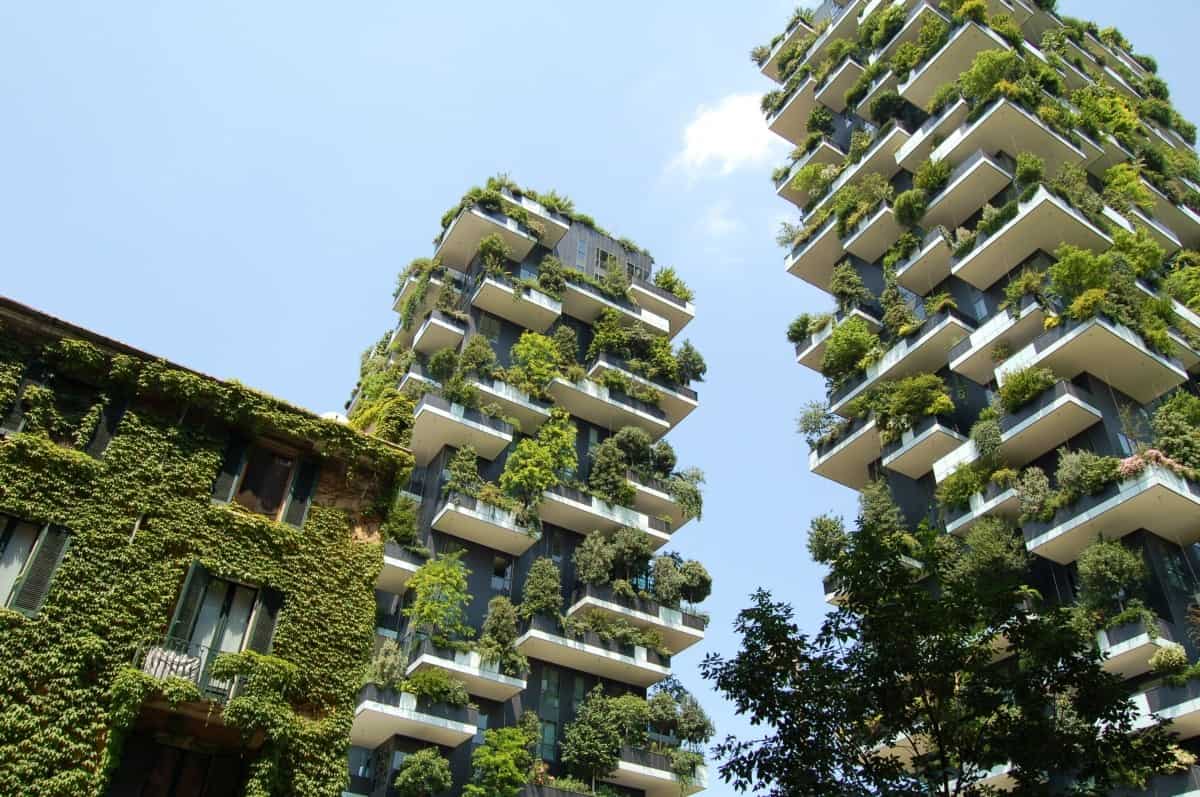 Investidores observam crescimento da procura por Edifícios Sustentáveis