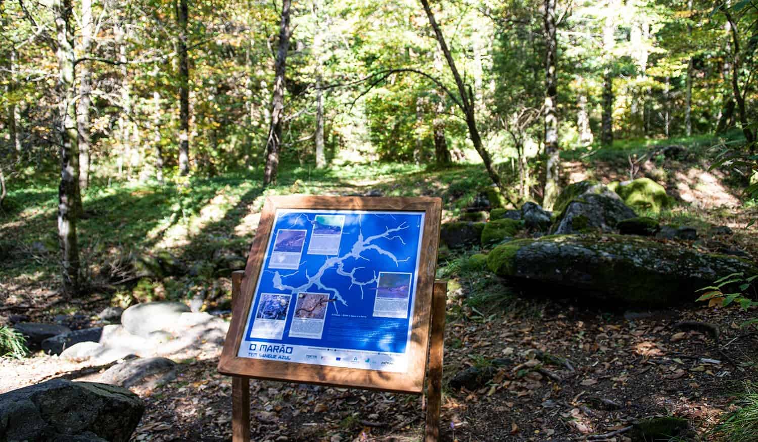 Município de Amarante proporciona atividades sobre biodiversidade e sustentabilidade