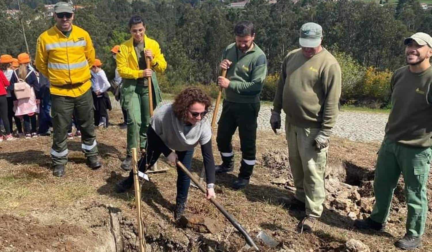 Penafiel assinalou dia internacional da floresta e dia mundial da árvore