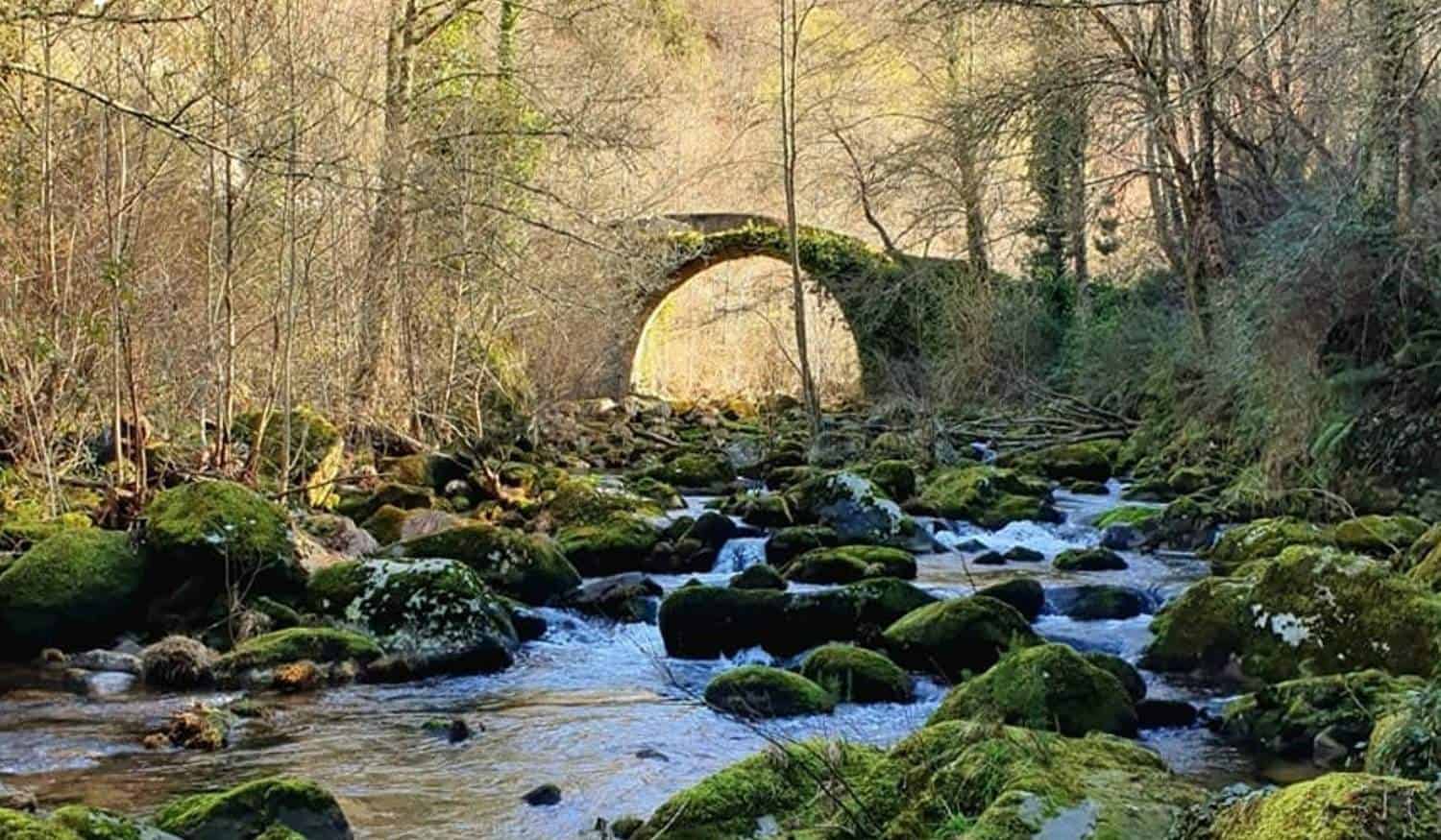 Douro Montemuro Ultra Trail quer mostrar potencialidades de Cinfães 