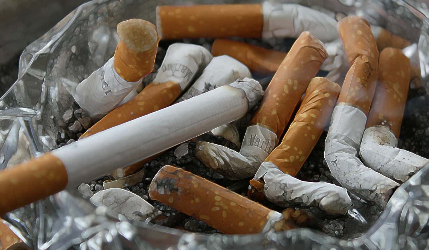 Lousada Ambiente Jovem promove ação de recolha de beatas de cigarros