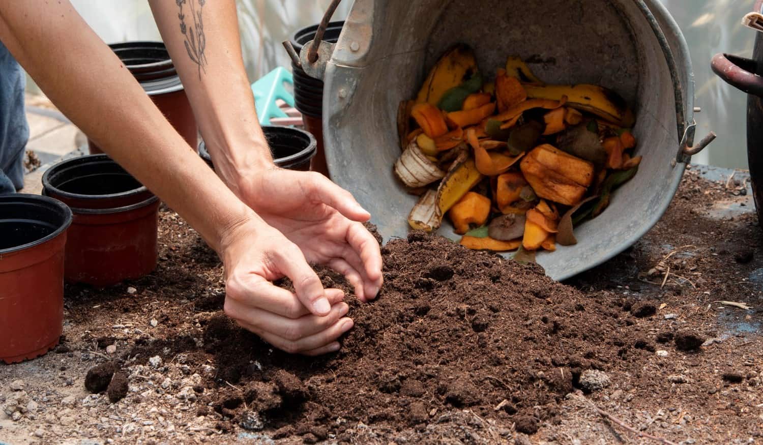 Município de Lousada cria projeto de compostagem doméstica