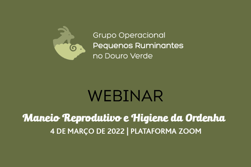 Dolmen promove Webinar do GO Pequenos Ruminantes esta sexta-feira