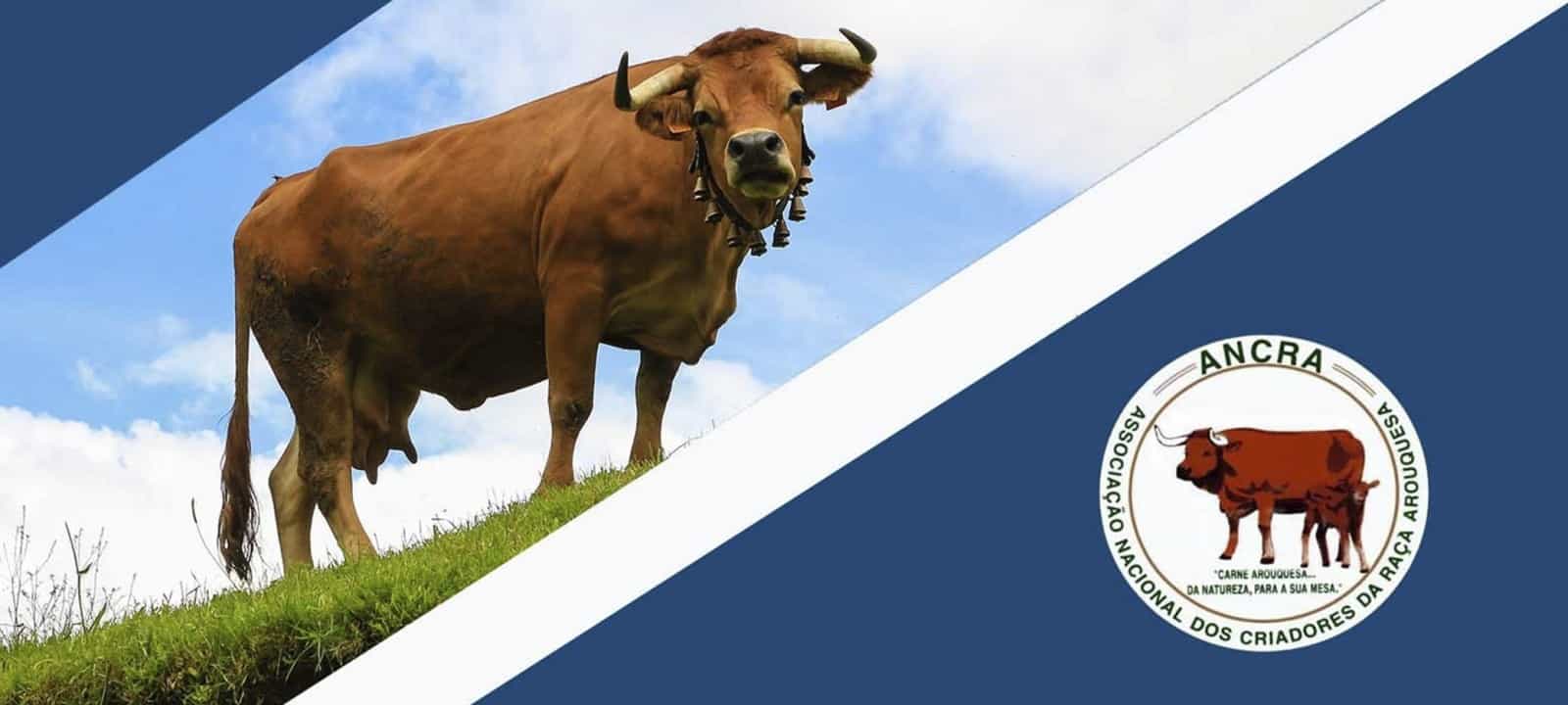 Autarquia de Cinfães renova contrato programa com a ANCRA