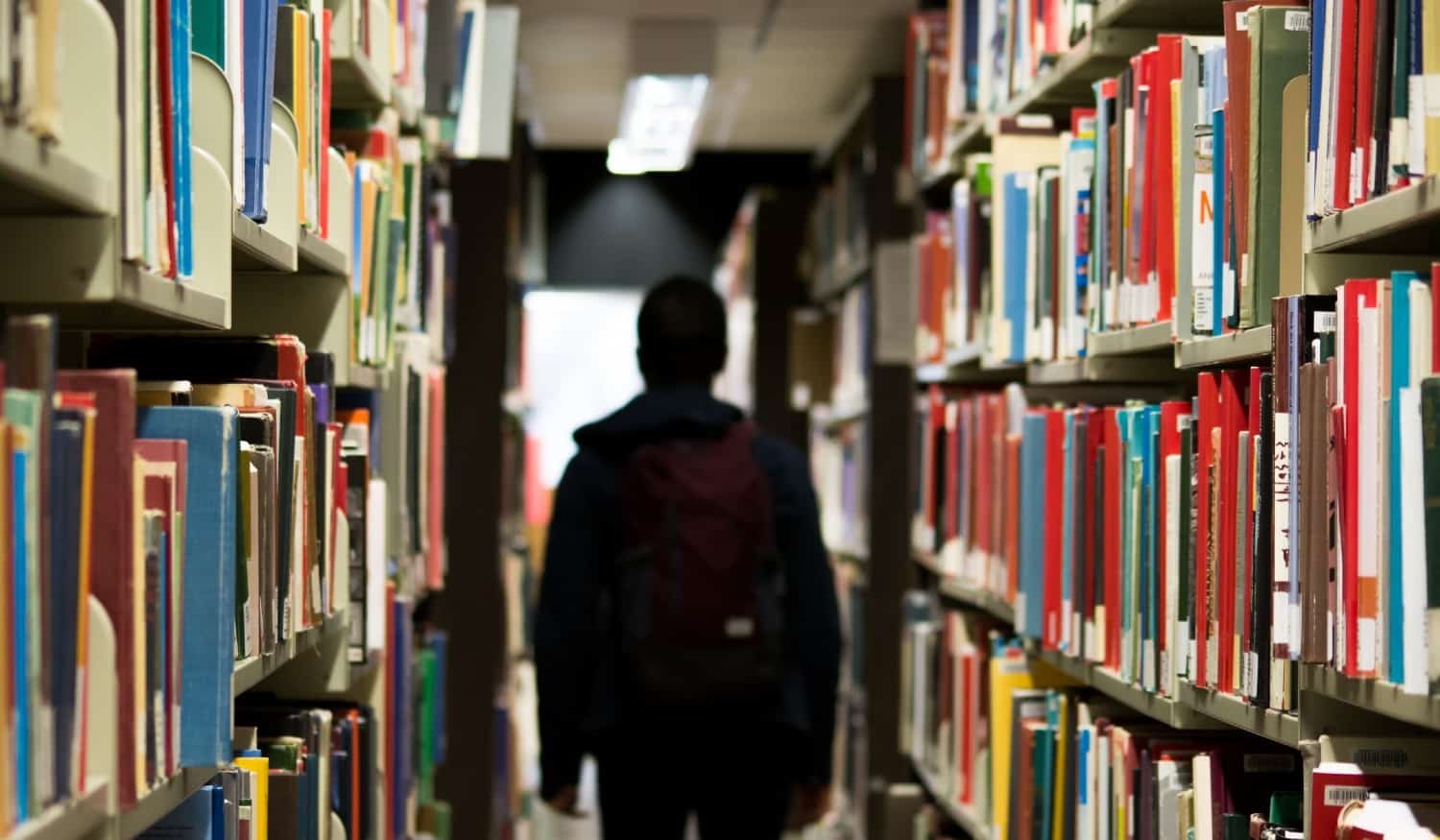 Câmara de Cinfães aprovou 144 bolsas de estudo para o Ensino Superior e Cursos de Especialização Tecnológica