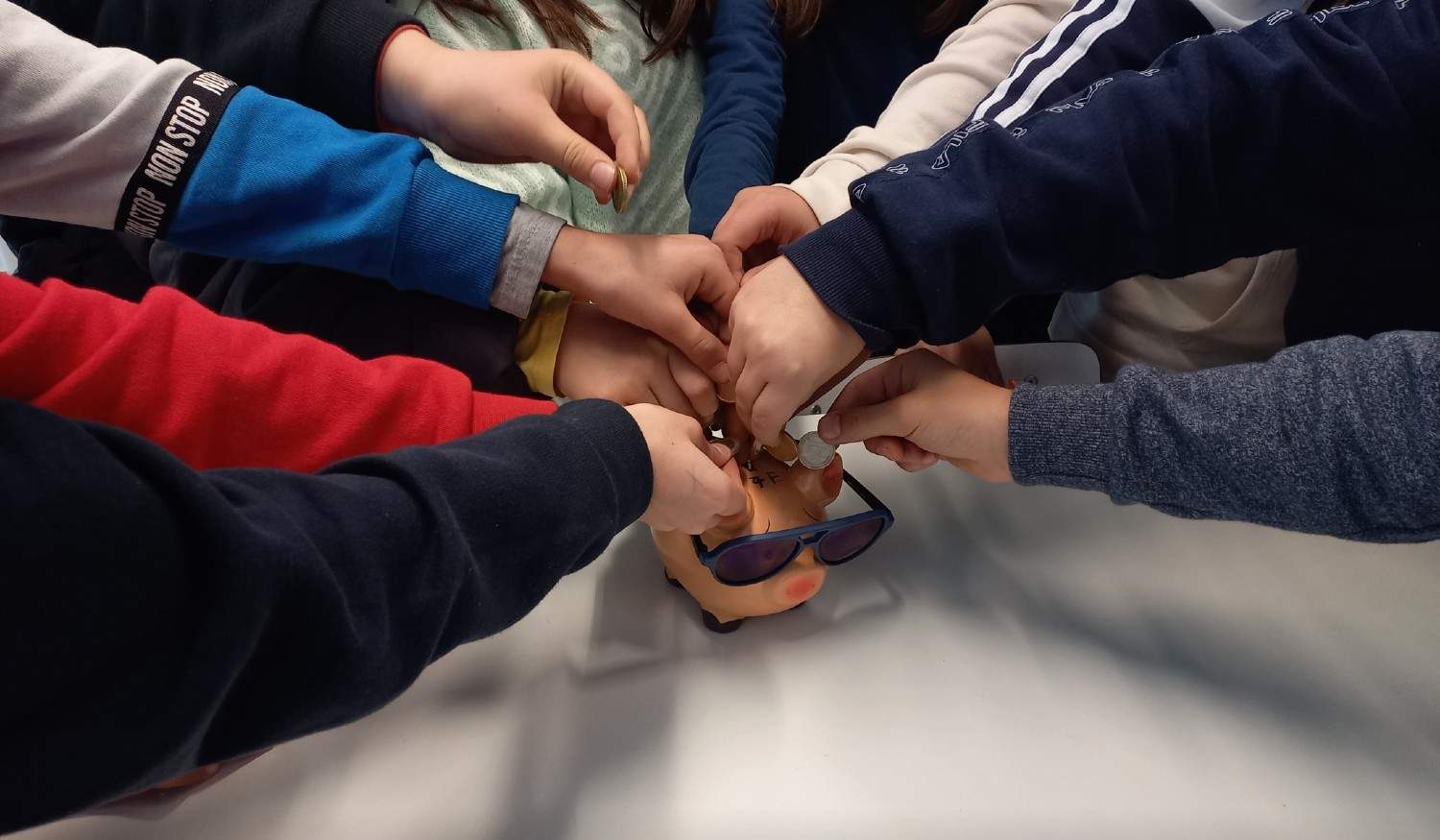 Alunos de Paredes e de Amarante entre os vencedores das Olimpíadas de Educação Financeira