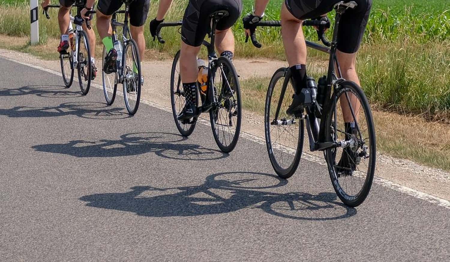 Ciclismo: Nuno Ribeiro e José Rodrigues suspensos de funções na W52-FC Porto