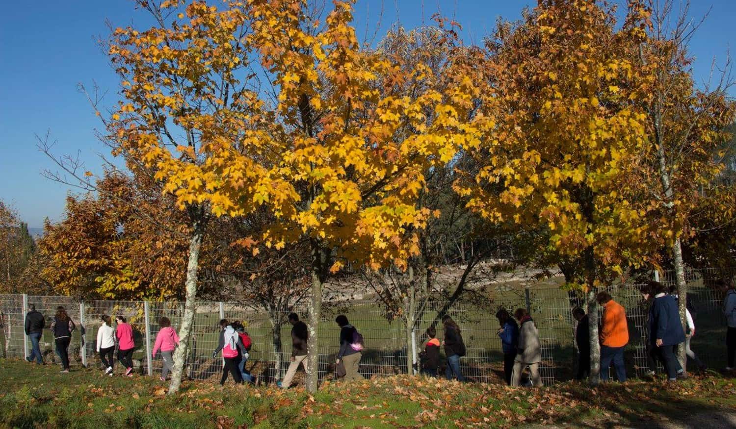 Marco de Canaveses: Escola Profissional de Arqueologia promove Festa da Primavera