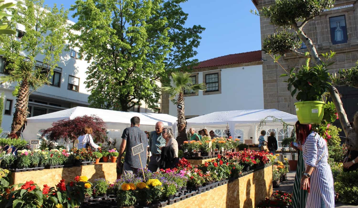 Flores & Sabores regressa "cheia de cor, diversão e motivos para que possam visitar Penafiel"