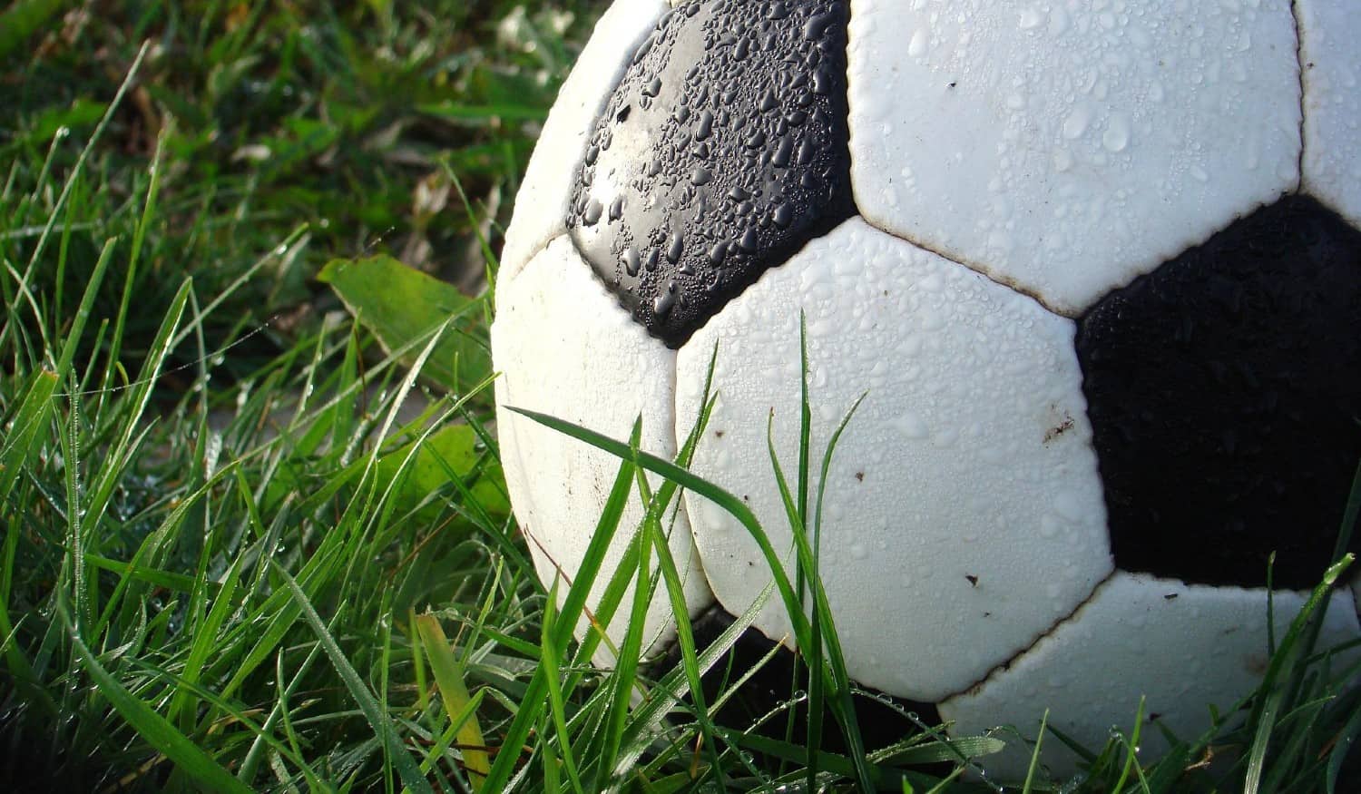 Futebol: Conheça os resultados da Primeira Divisão da AF Porto