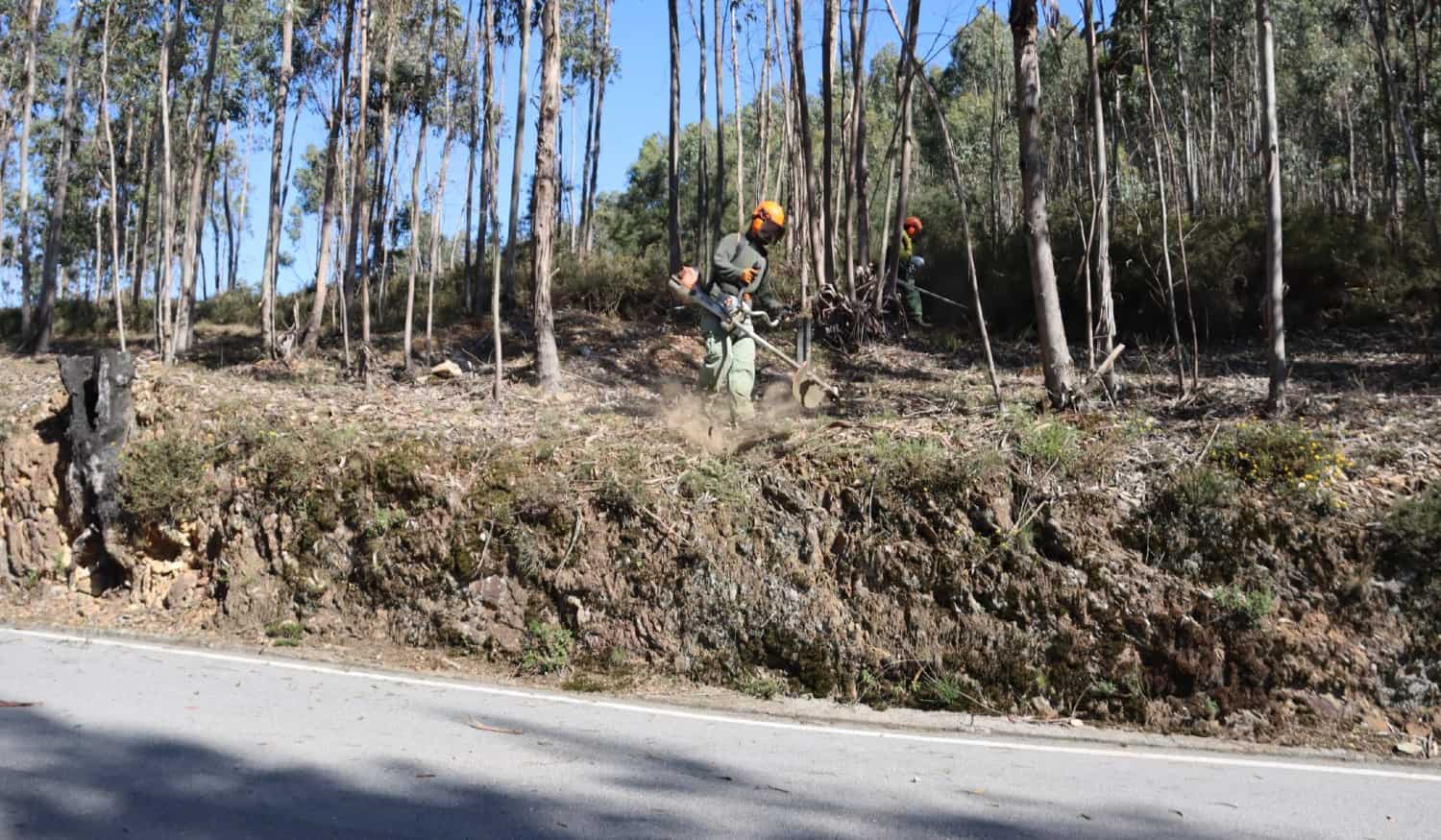 Câmara Municipal de Paredes deu início à limpeza de terrenos em Aguiar de Sousa