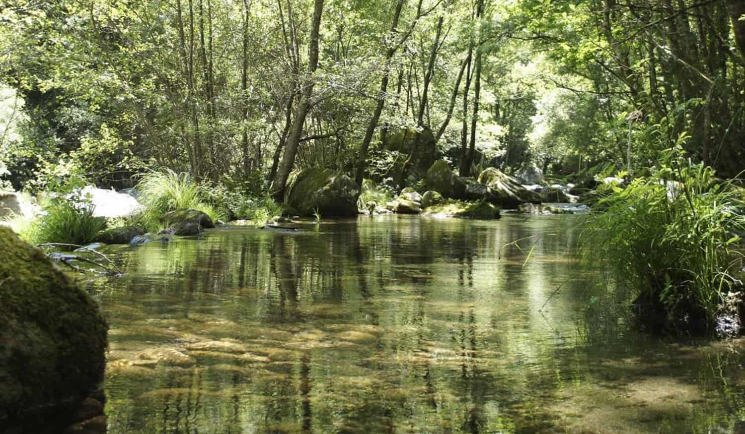 Cinfães vai acolher caminhada no Vale do Bestança
