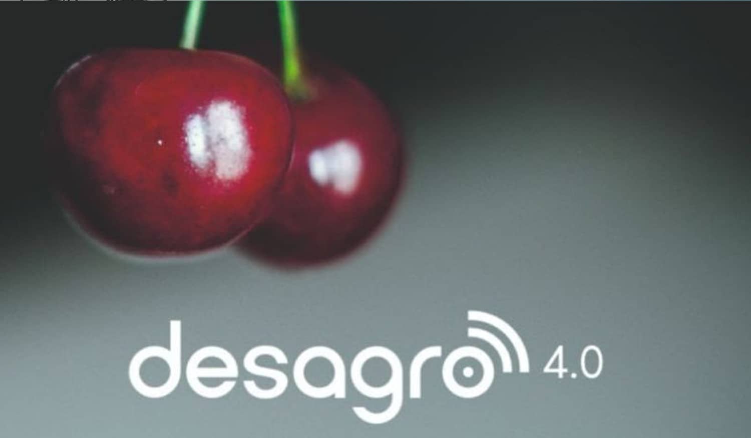 Projeto Des Agro 4.0 promove seminário sobre "Tecnologias de Precisão no Setor Frutícola"