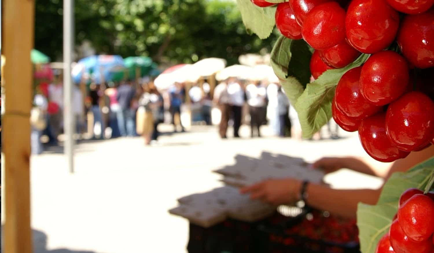 Cortejo Alegórico regressa ao Festival da Cereja de Resende com 500 participantes