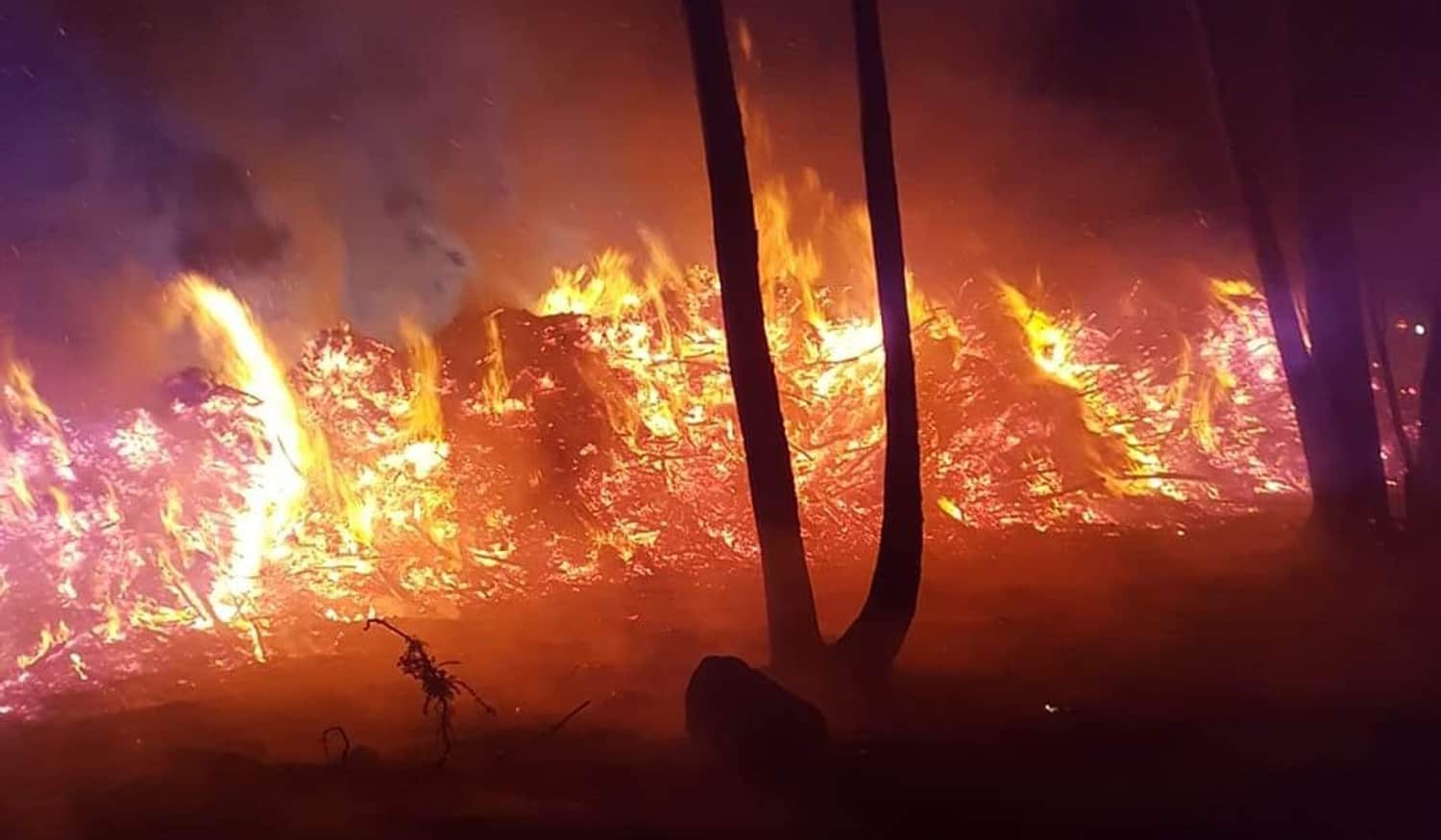 Dois meios aéreos combatem fogo em Celorico de Basto