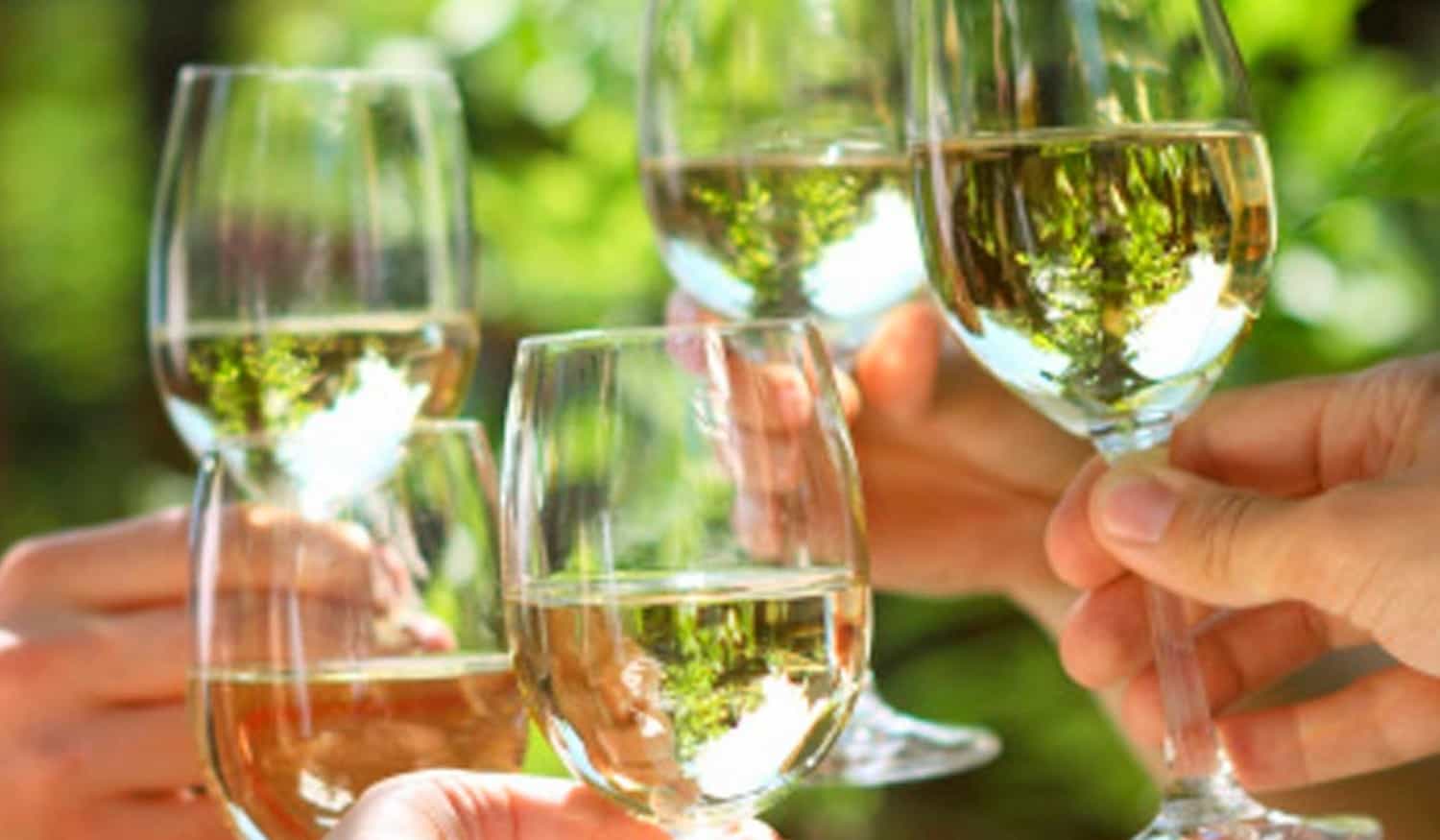 Seis vinhos da região do Tâmega e Sousa conquistaram medalha de ouro no concurso "Os Melhores Vinhos Verdes"