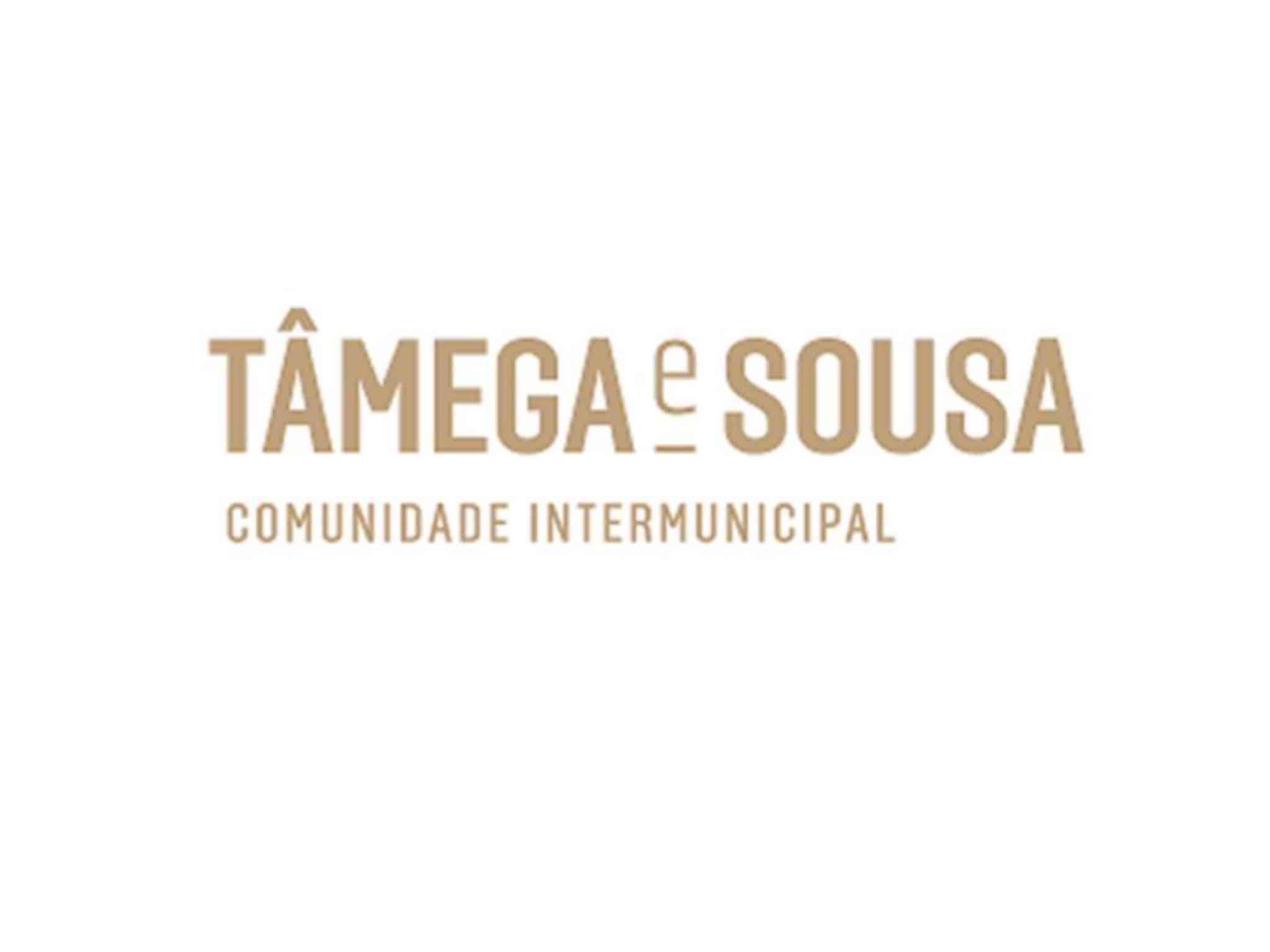 CIM do Tâmega e Sousa - Aviso (Extrato) Recrutamento