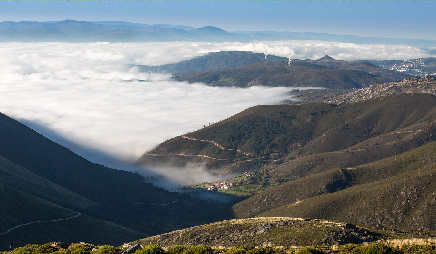 Um guia para descobrir a natureza de Baião