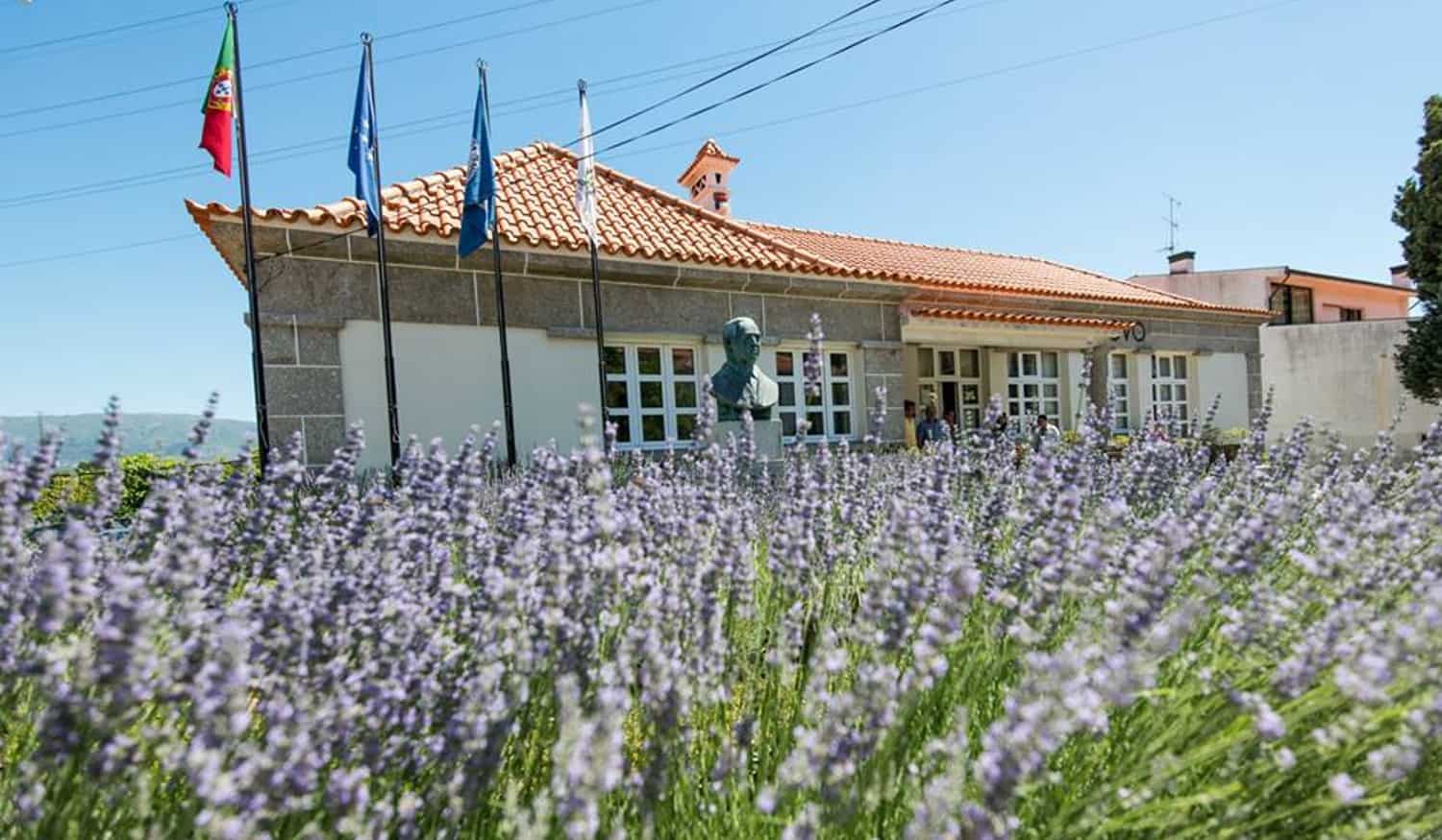 Baião: Arraial Popular da Casa do Povo de Santa Marinha do Zêzere organiza sardinhada
