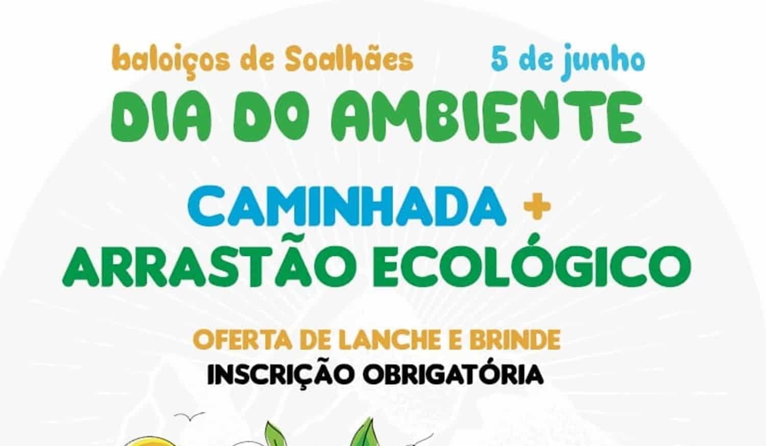 Marco de Canaveses: Arrastão Ecológico em Soalhães realiza-se este domingo