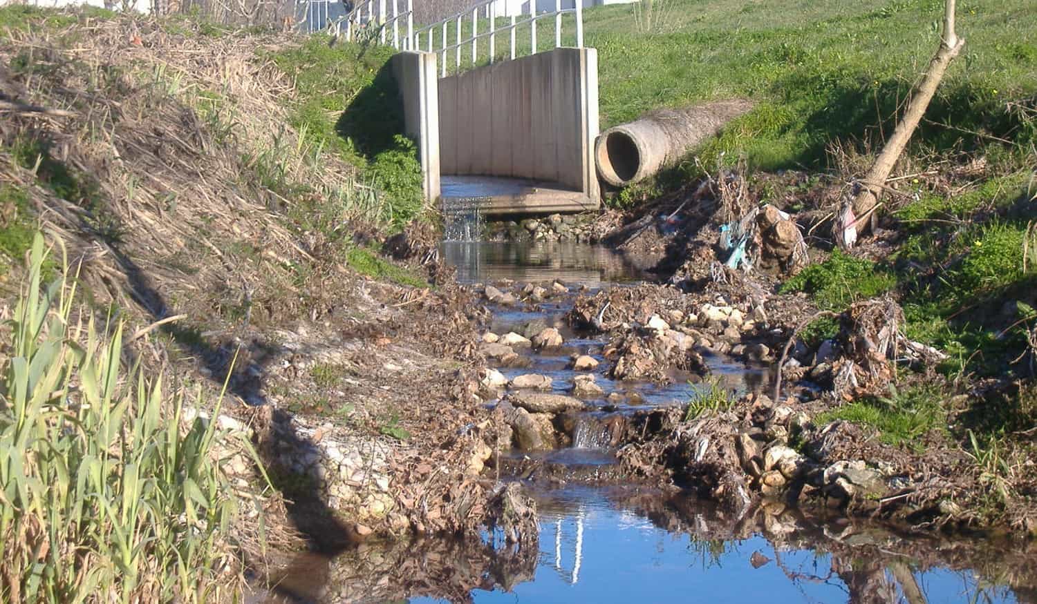 Estudo internacional conclui que a ação humana afeta severamente rios e ribeiros à escala global