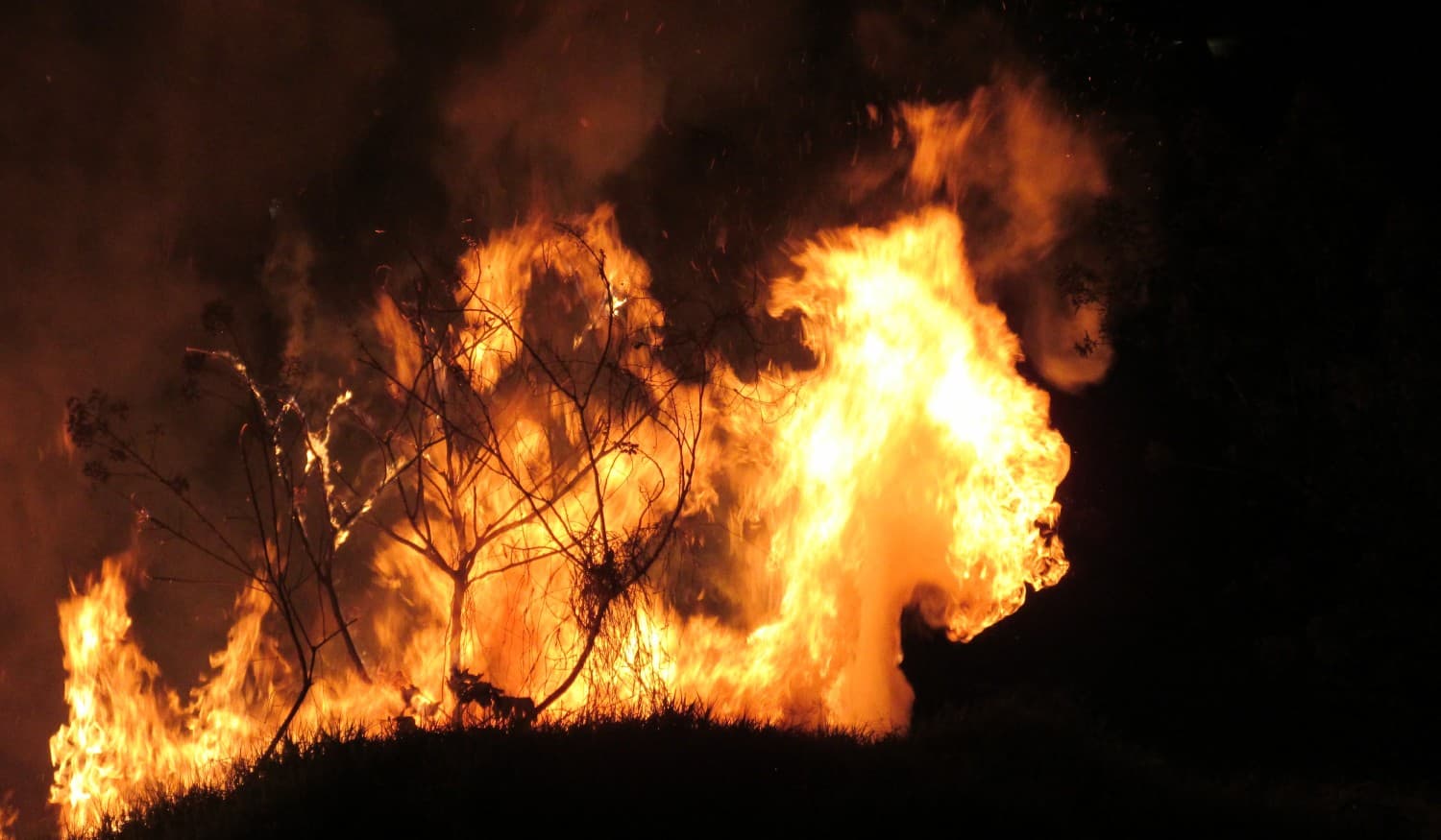 Declarada Situação de Alerta devido ao "agravamento do risco de incêndio rural"