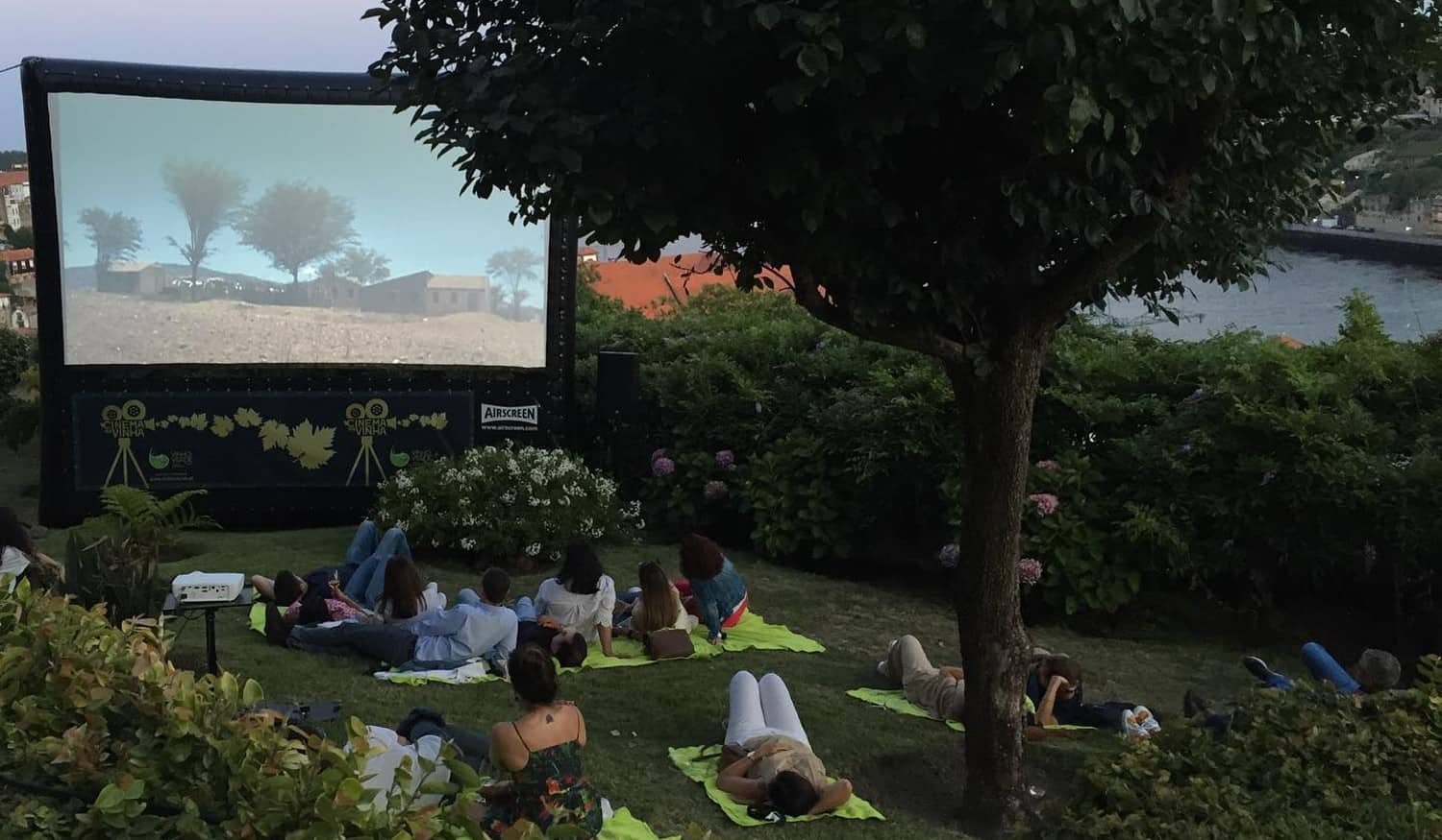 "Cinema na Vinha" com sessões em várias quintas da Região dos Vinhos Verdes