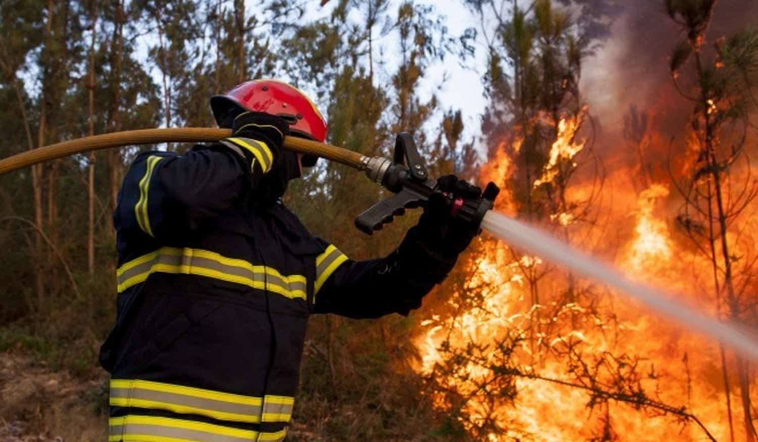 Cinco incêndios ativos na região do Tâmega e Sousa mobilizam mais de 200 bombeiros