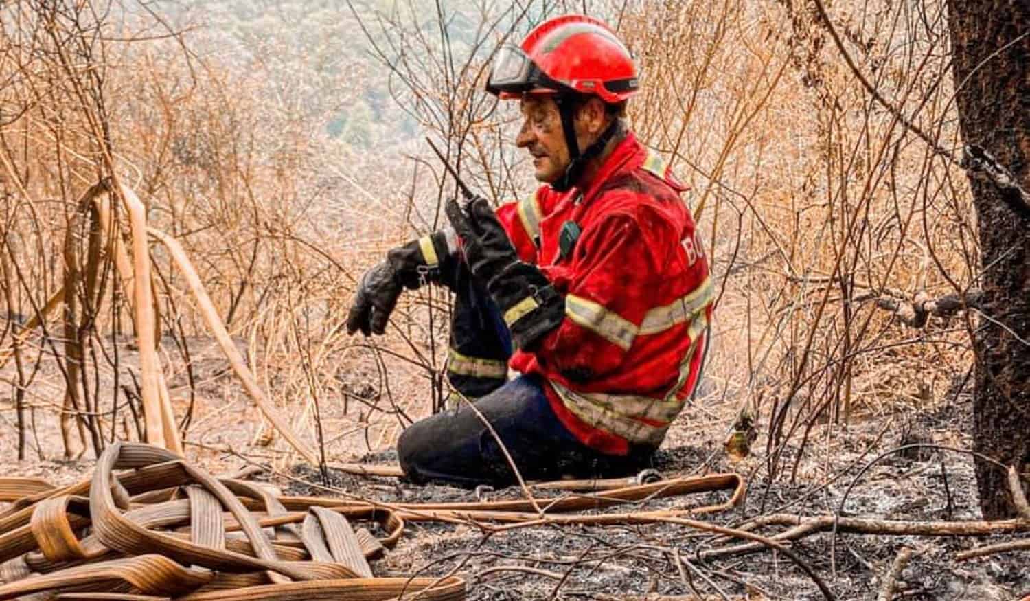 Associação empresarial e município de Baião lançam apelo para ajudar bombeiros do concelho com água e fruta