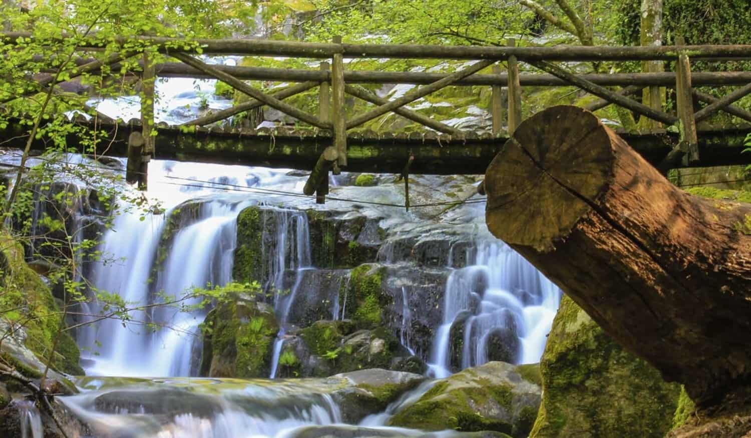 Águas balneares de Cinfães "são próprias para banhos"
