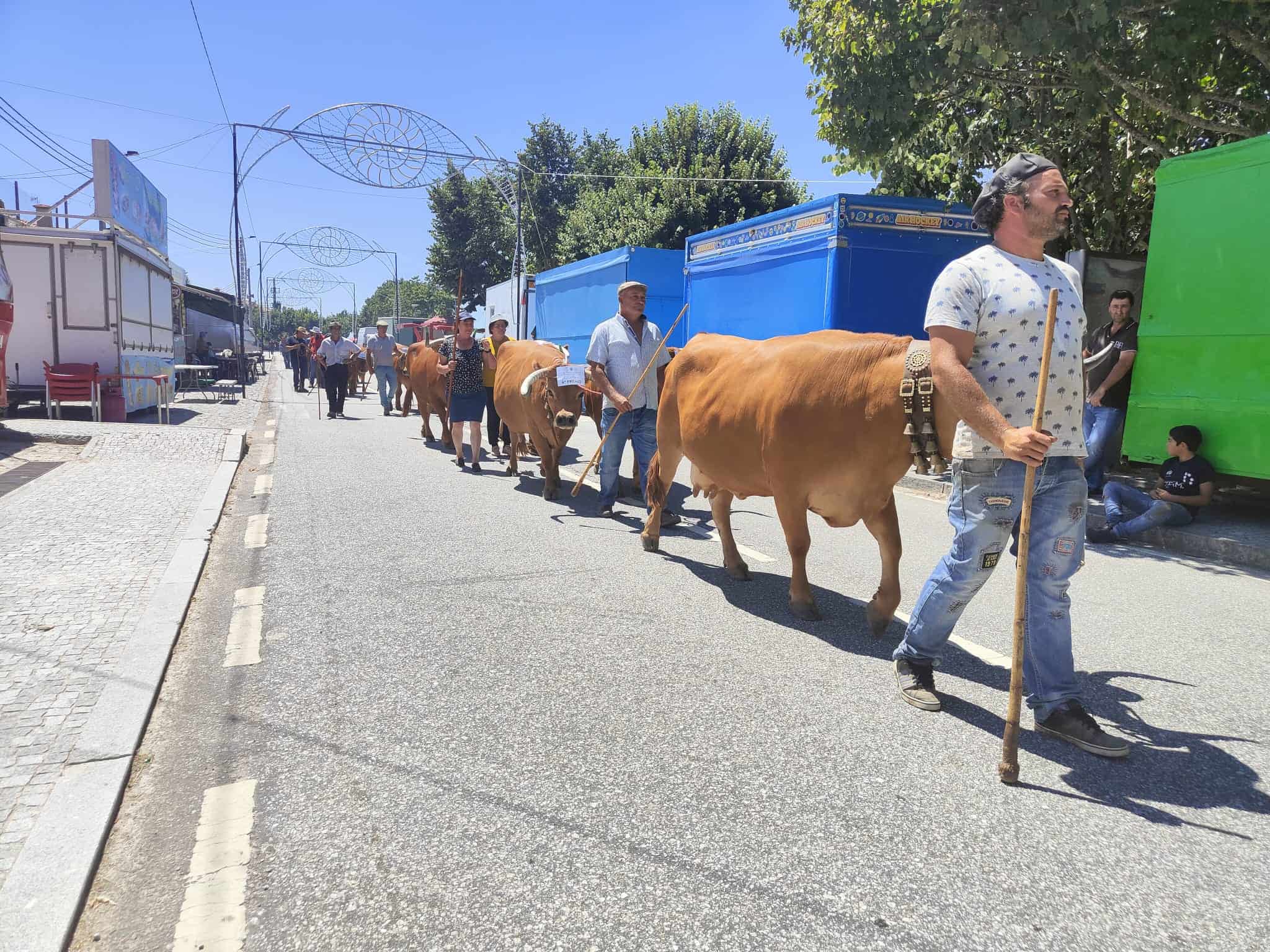 Baião: Concurso de Gado Arouquês regressou à freguesia de Valadares com 'balanço positivo'