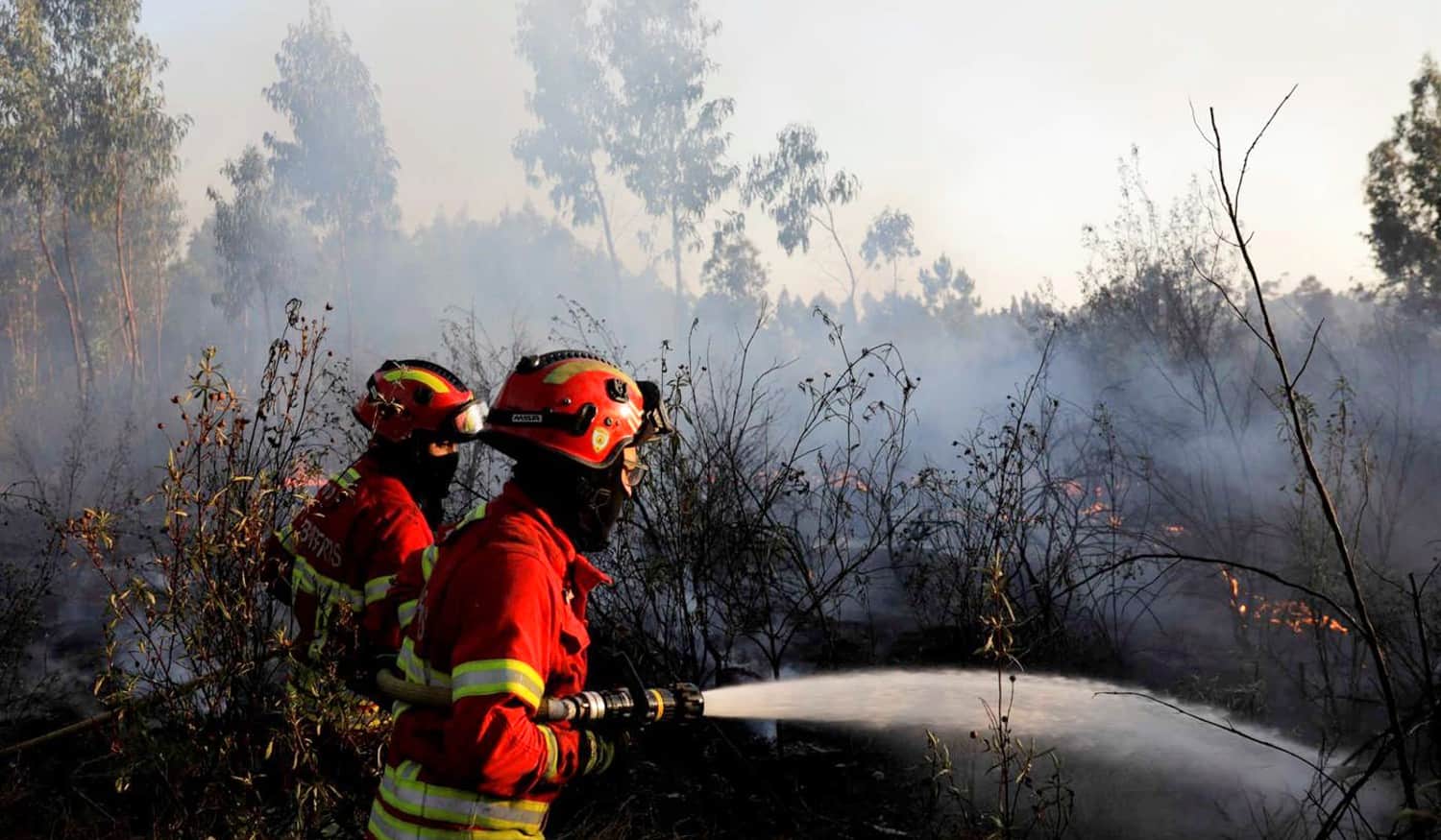 Proteção Civil avisa para perigo de incêndio muito elevado a máximo na maioria do país